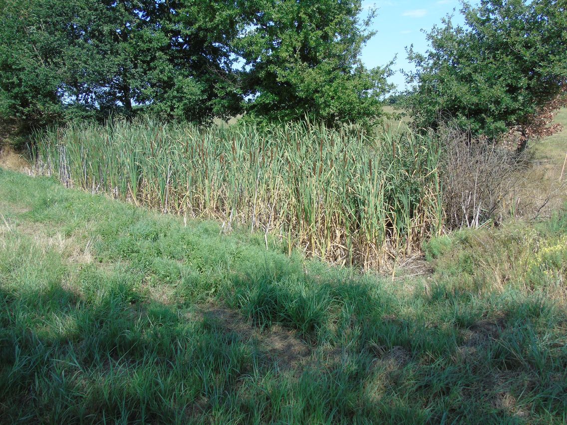 DSC03189
